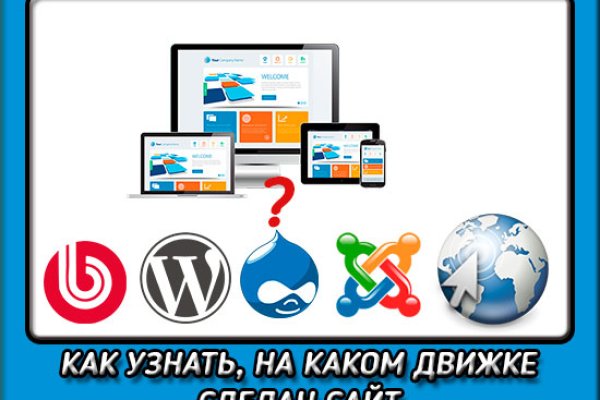 Гидра и кракен
