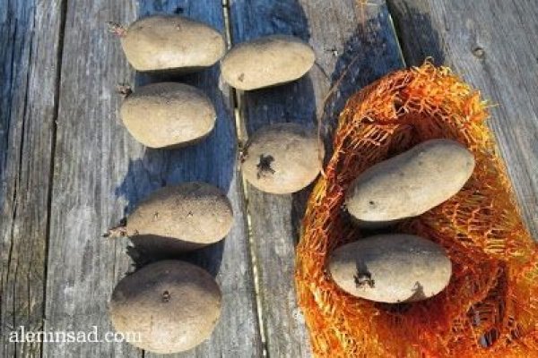 Ссылки на супернет сайты