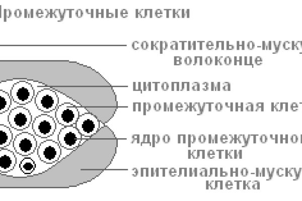 Кракен store