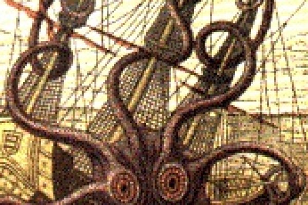 Kraken whitenet sliv php