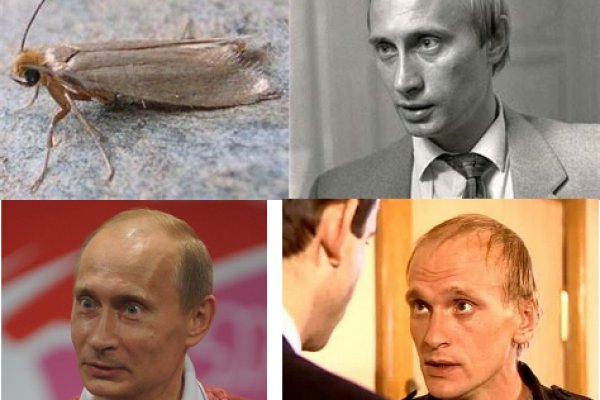 Как заказать на кракене