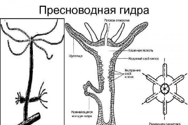 Kraken маркетплейс официальный