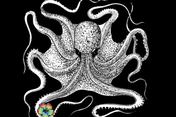 Kraken официальные зеркала