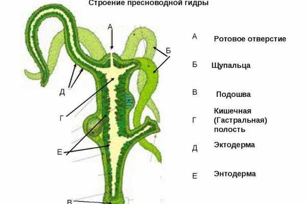 Кракен супернет только через тор