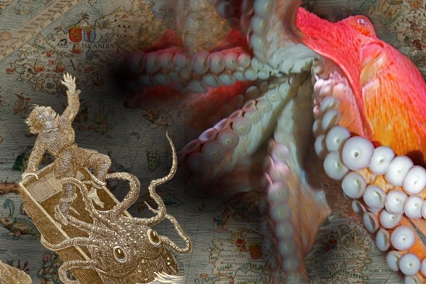 Kraken20 at