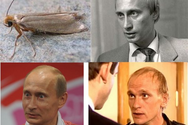 Кракен сайт юнион