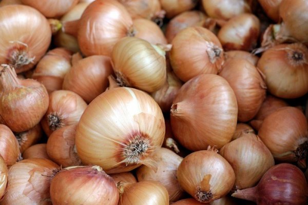 Кракен сайт официальный onion