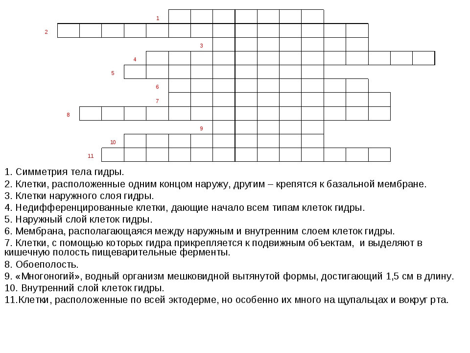 Что продают на кракене